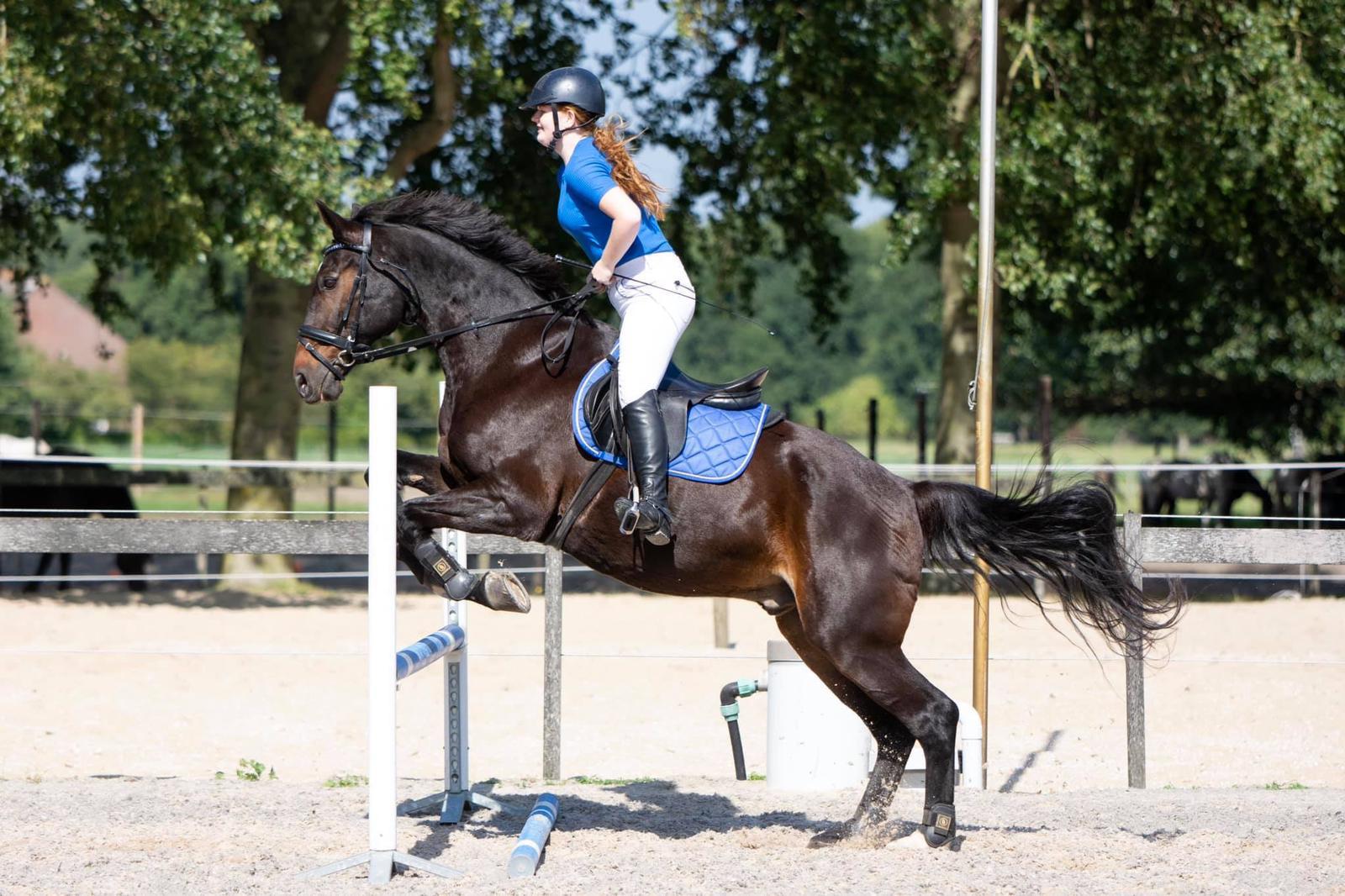 denise-koch-astor-het-leukste-oude-paard-van-nederland